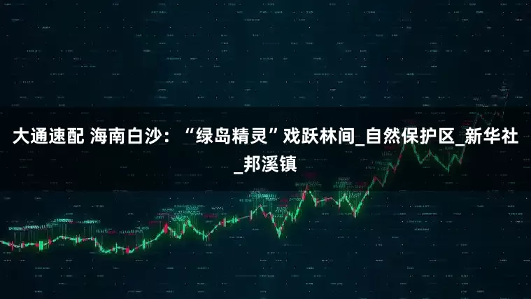 大通速配 海南白沙：“绿岛精灵”戏跃林间_自然保护区_新华社_邦溪镇