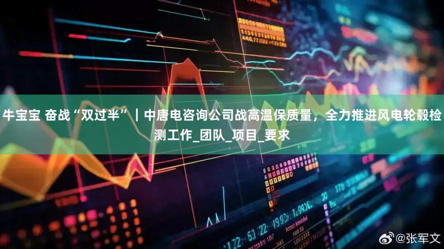 牛宝宝 奋战“双过半”｜中唐电咨询公司战高温保质量，全力推进风电轮毂检测工作_团队_项目_要求