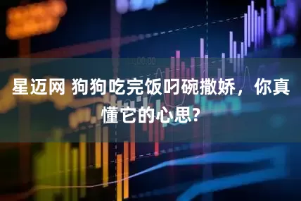 星迈网 狗狗吃完饭叼碗撒娇，你真懂它的心思?