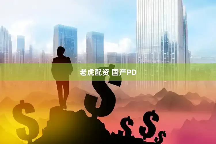 老虎配资 国产PD