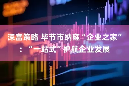 深富策略 毕节市纳雍“企业之家”：“一站式”护航企业发展